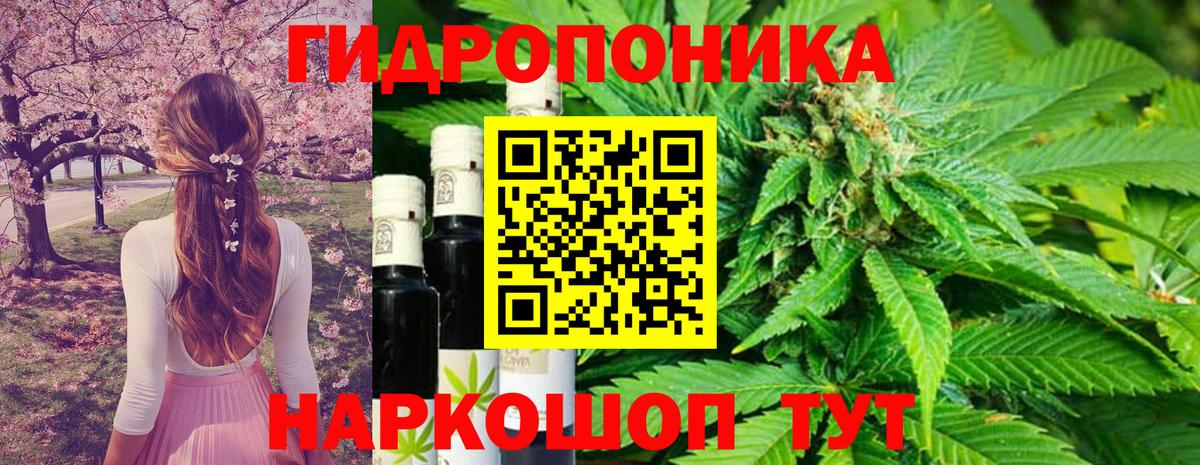 Шишки марихуана OG Kush  Вход с VPN  Конопля конопля  Славянск-на-Кубани 